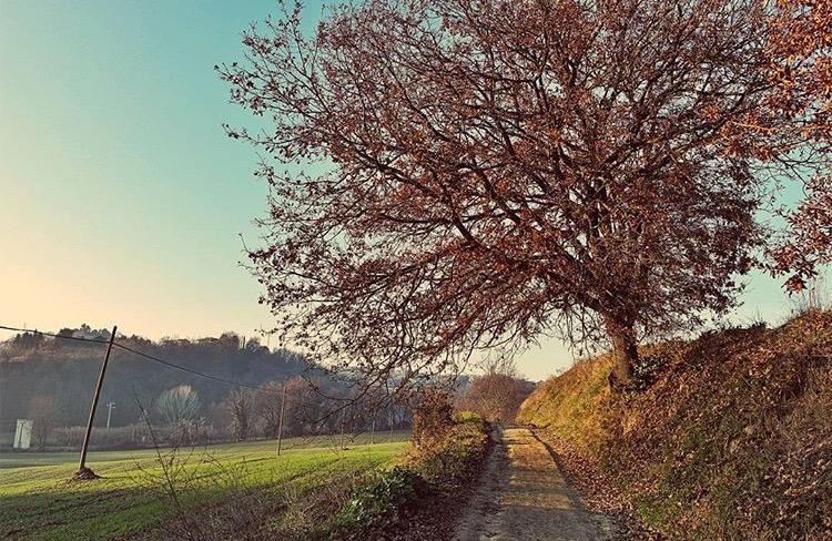 Casa Vacanze Via Marconi Marotta Dış mekan fotoğraf