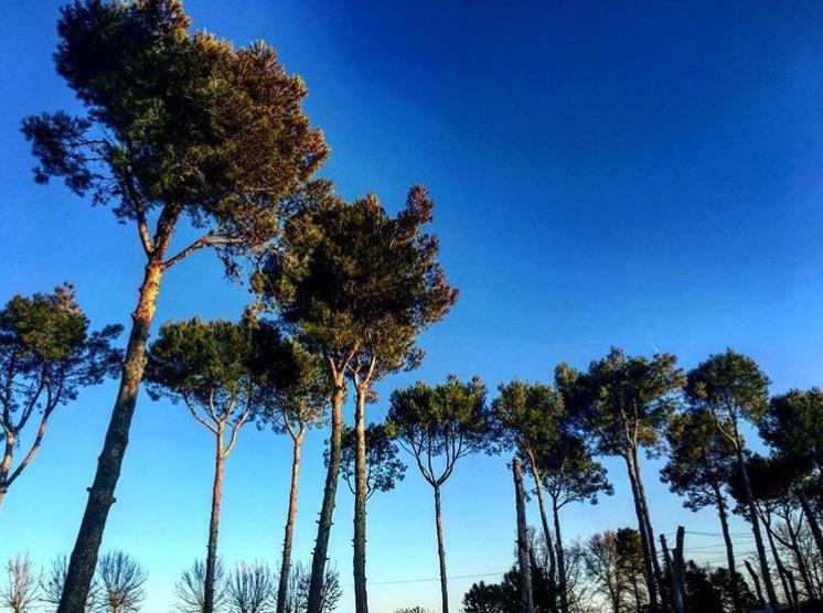 Casa Vacanze Via Marconi Marotta Dış mekan fotoğraf